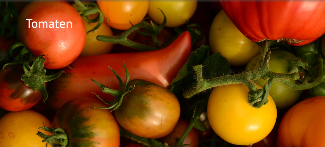 Der Abshof - Tomaten